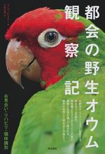 kobayashi_parrot