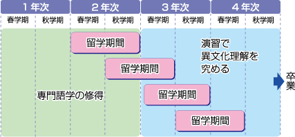 １年留学４年卒業留学プログラム