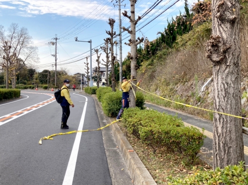 陸上部は80人が参加